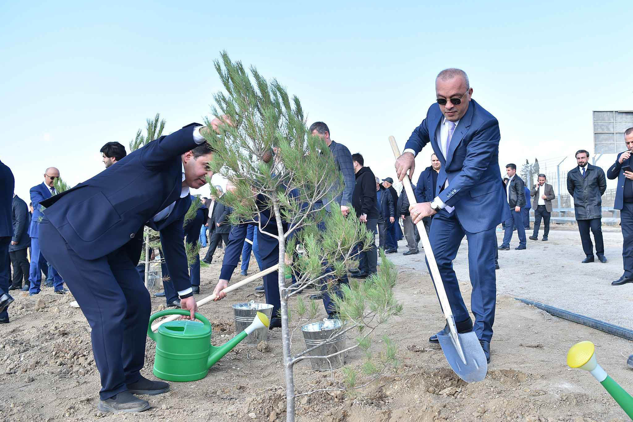 8 Noyabr – Zəfər Günü münasibətilə ADSEA ağacəkmə aksiyası təşkil etdi
